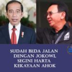 Ahok dan Jokowi
